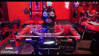 1000 high heels porn videos